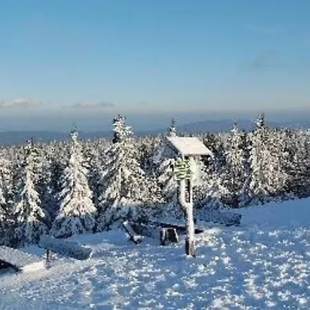 Gemutliche Ferienwohnung Im Thuringer Wald, Nahe Des Rennsteigs - Pure Erholung Apartment Schmiedefeld am Rennsteig