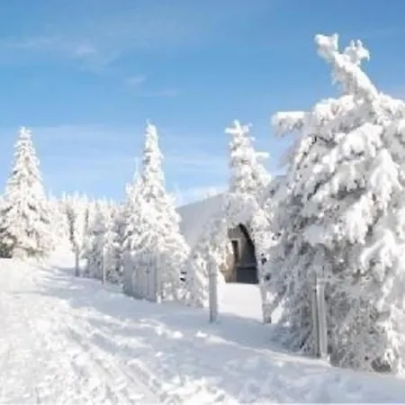 Apartment Gemutliche Ferienwohnung Im Thuringer Wald, Nahe Des Rennsteigs - Pure Erholung