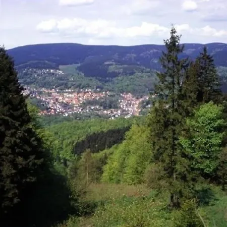 Gemutliche Ferienwohnung Im Thuringer Wald, Nahe Des Rennsteigs - Pure Erholung *