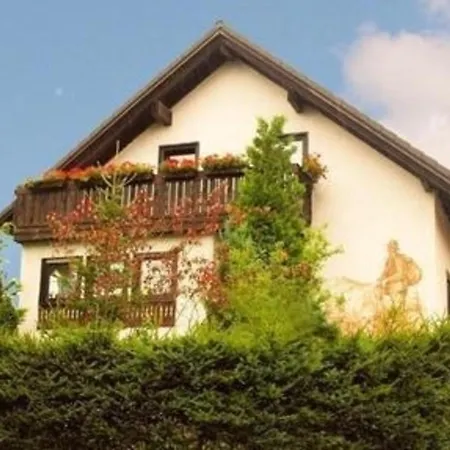 Apartment Gemutliche Ferienwohnung Im Thuringer Wald, Nahe Des Rennsteigs - Pure Erholung